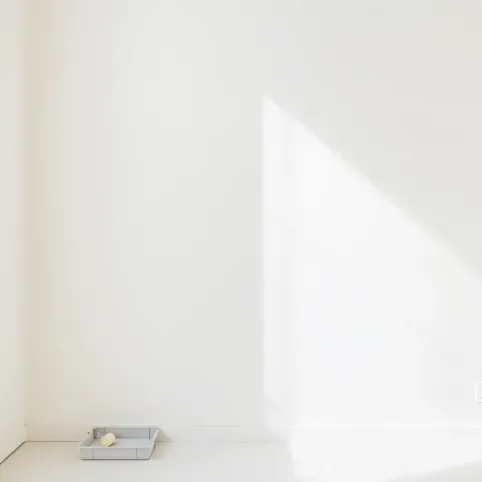 malowanie ścian koszt